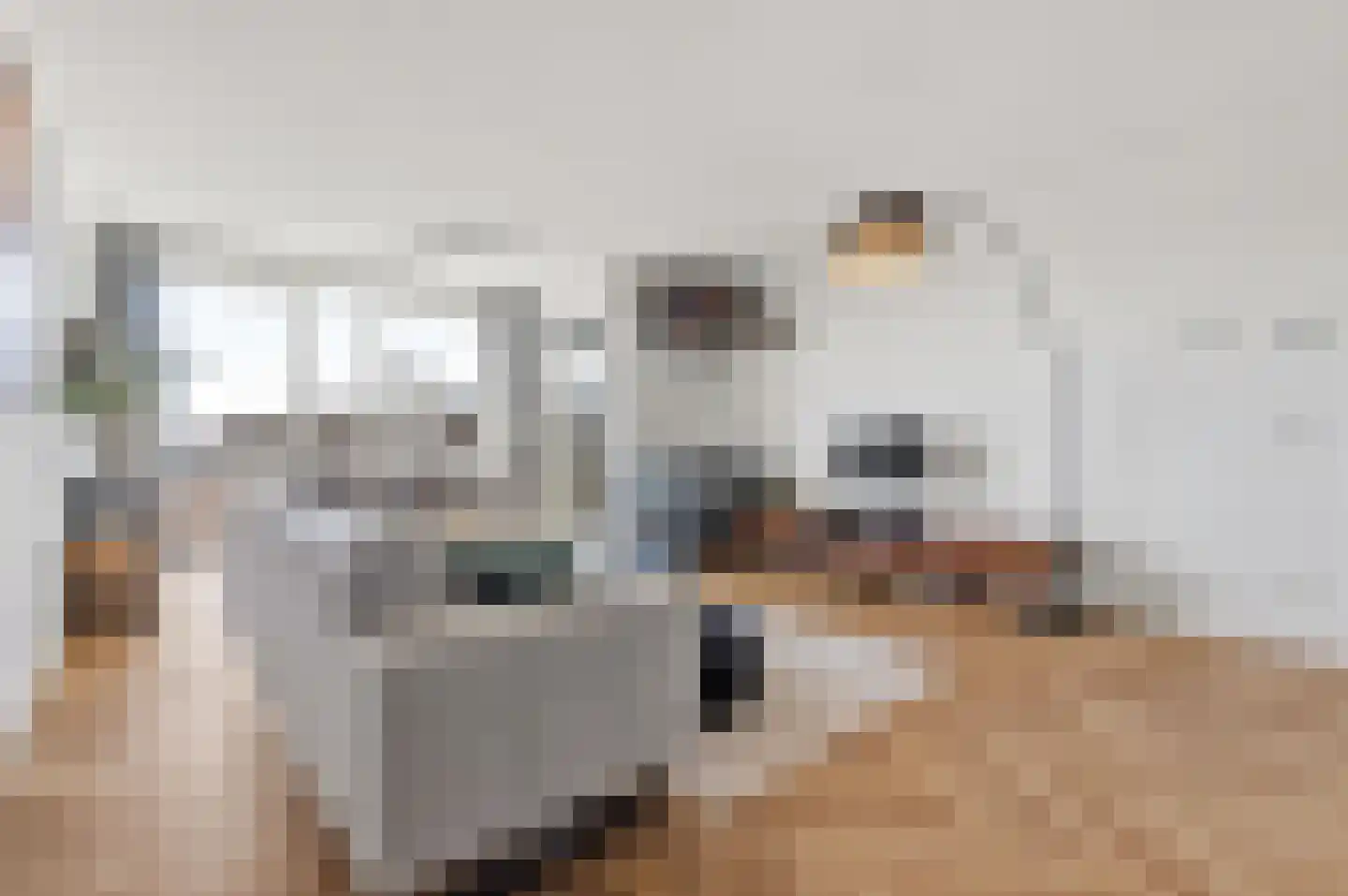 Ananasweg 32 Leiden thumbnail 12