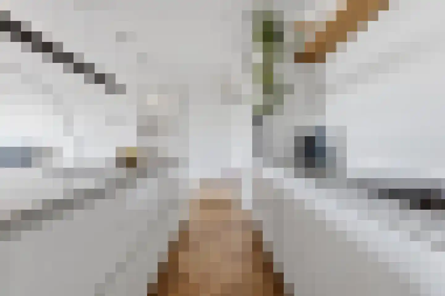 Ananasweg 32 Leiden thumbnail 15