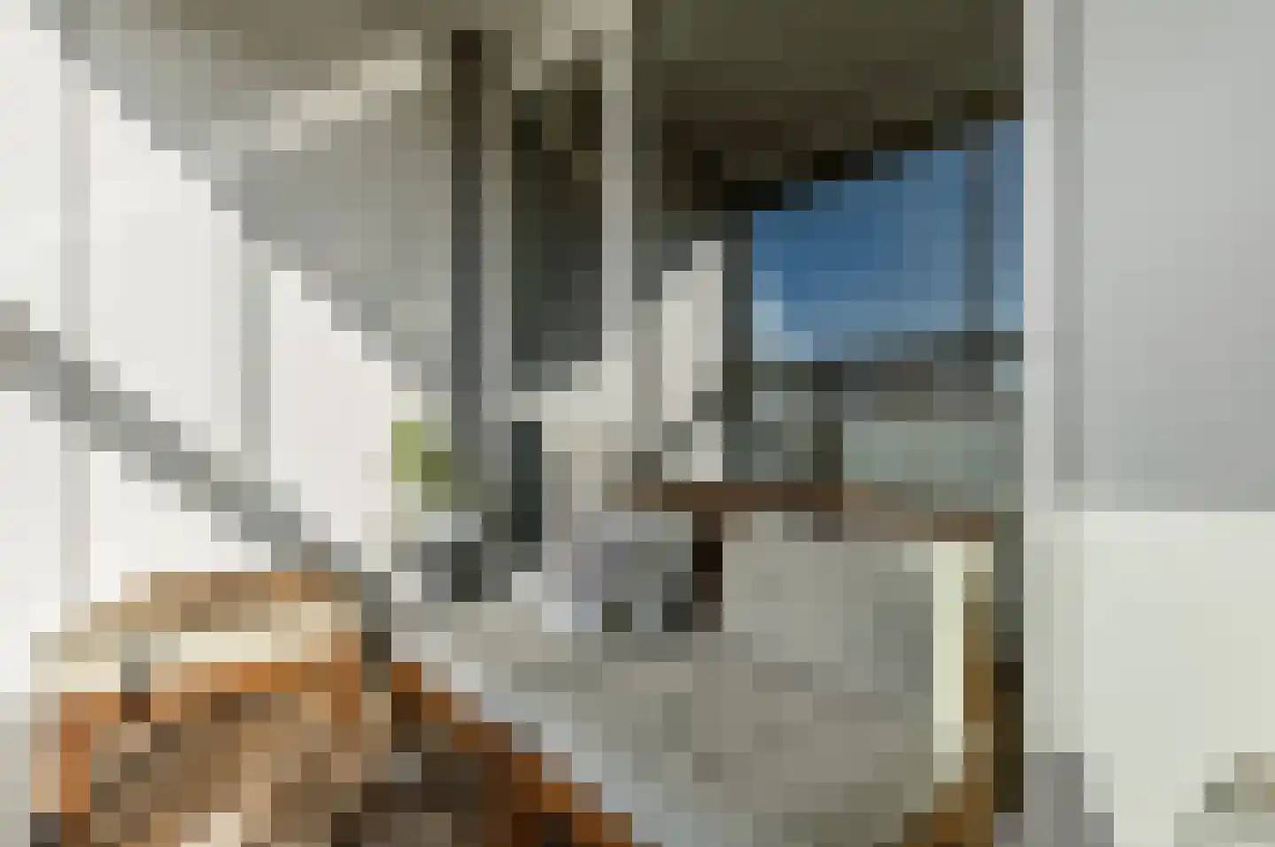 Ananasweg 32 Leiden thumbnail 17