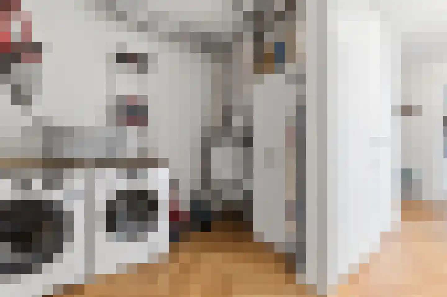 Ananasweg 32 Leiden thumbnail 21