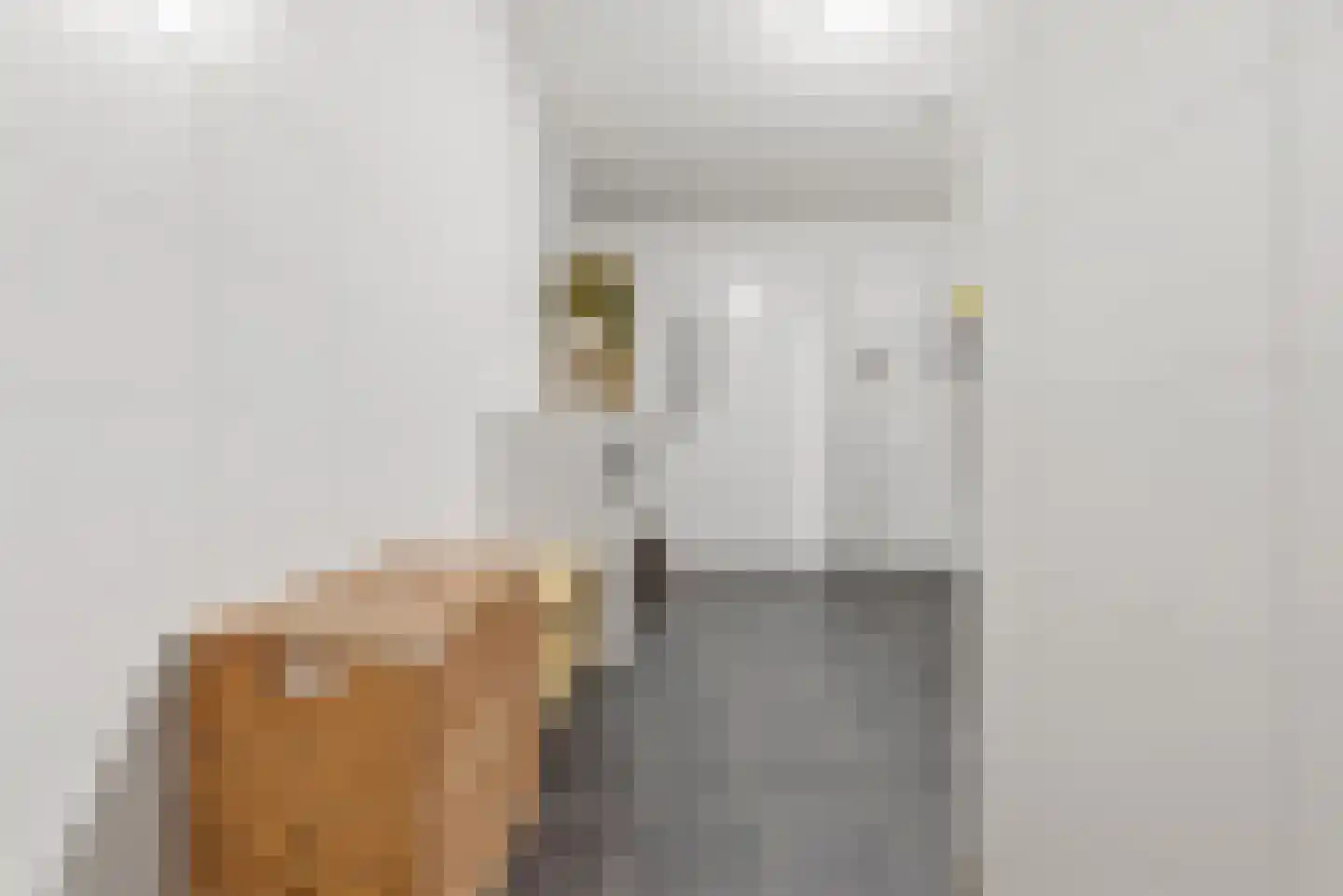 Ananasweg 32 Leiden thumbnail 30