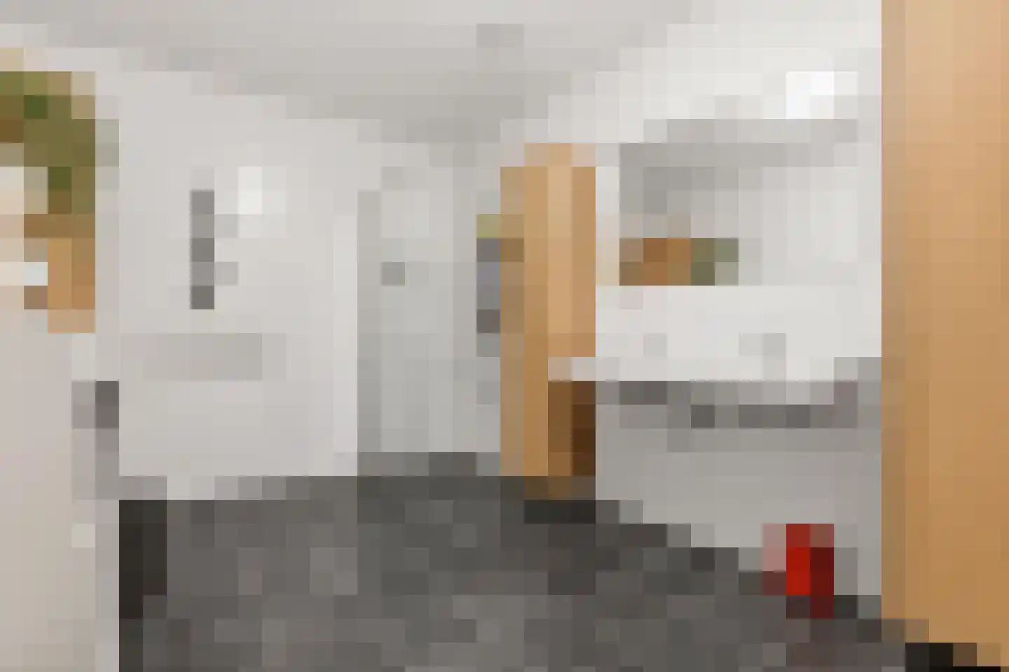 Ananasweg 32 Leiden thumbnail 31