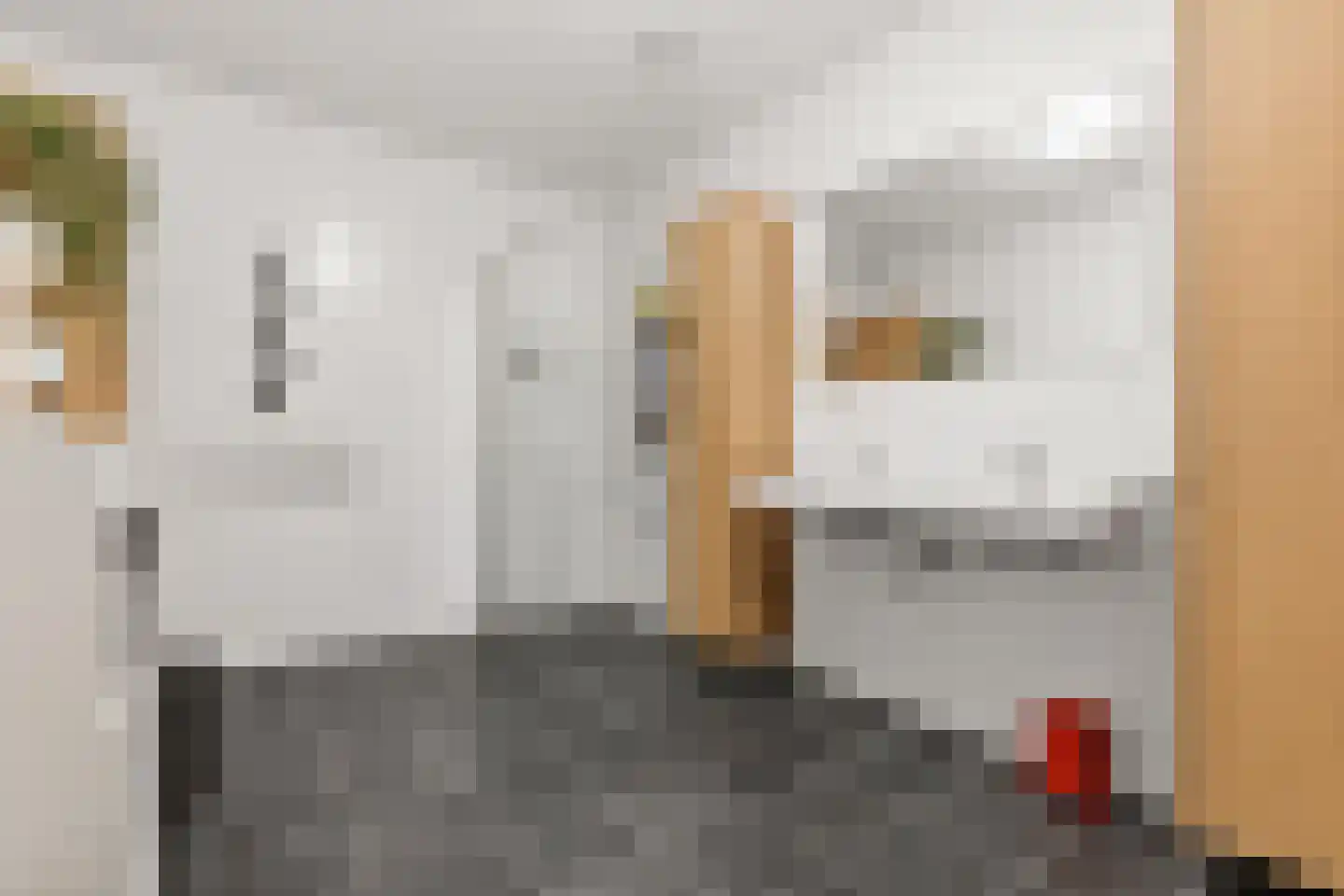 Ananasweg 32 Leiden thumbnail 33