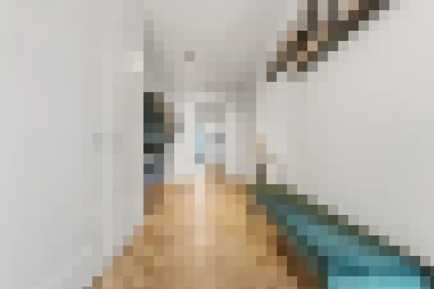 Ananasweg 32 Leiden thumbnail 34