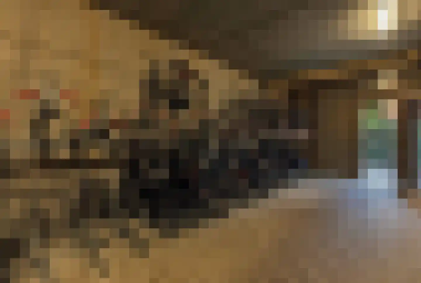 Ananasweg 32 Leiden thumbnail 37