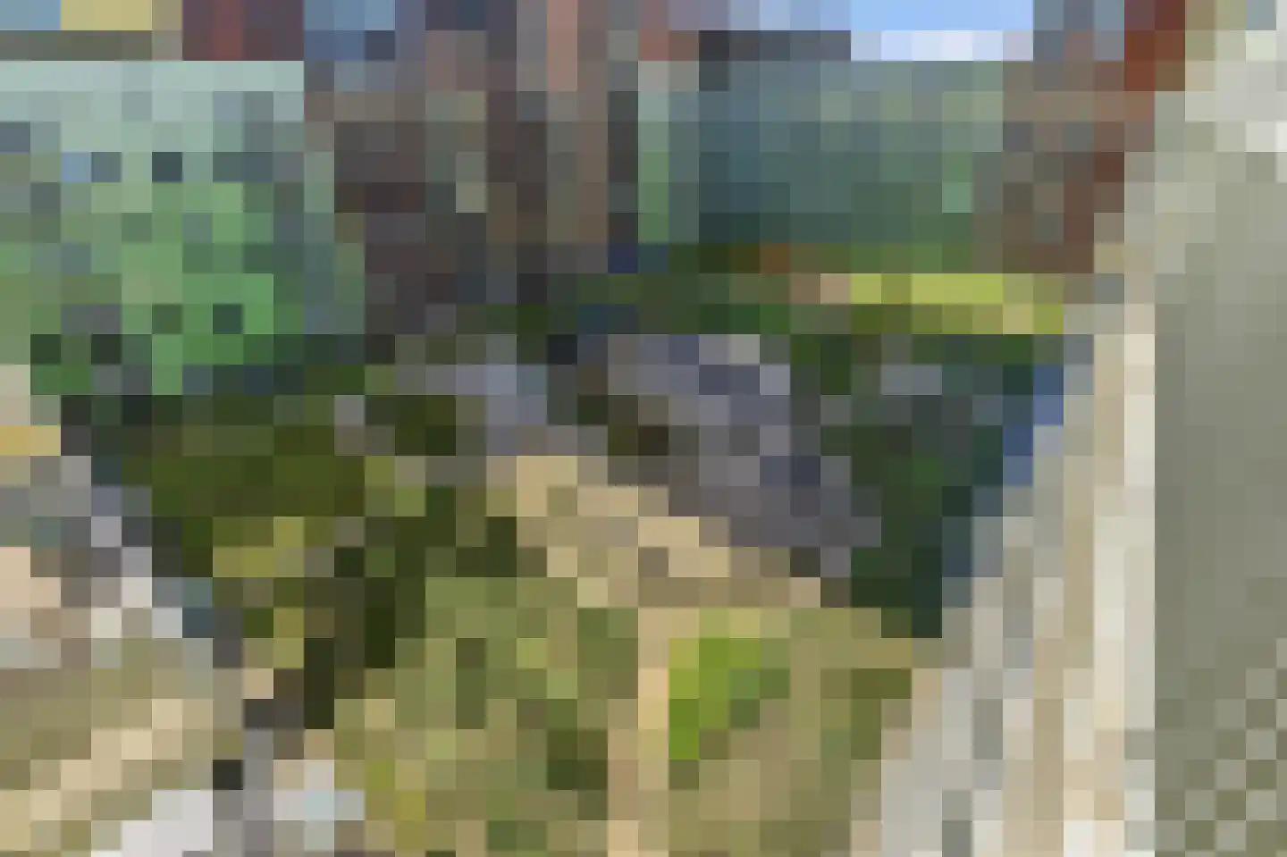 Ananasweg 32 Leiden thumbnail 38