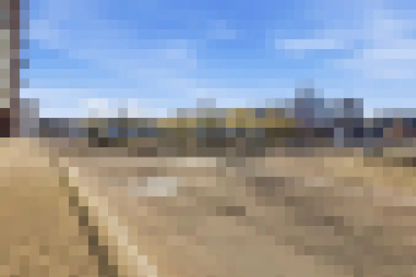 Ananasweg 32 Leiden thumbnail 38