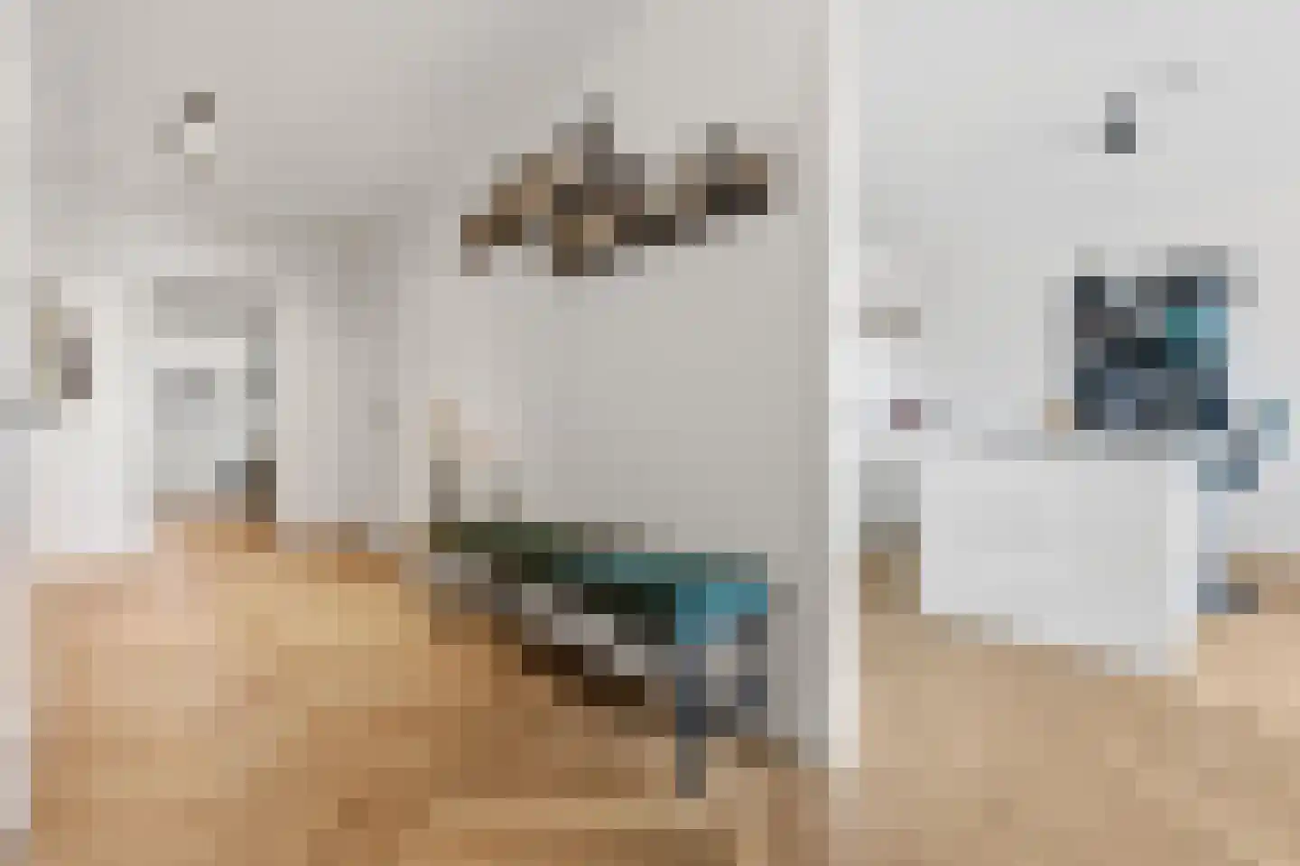Ananasweg 32 Leiden thumbnail 8