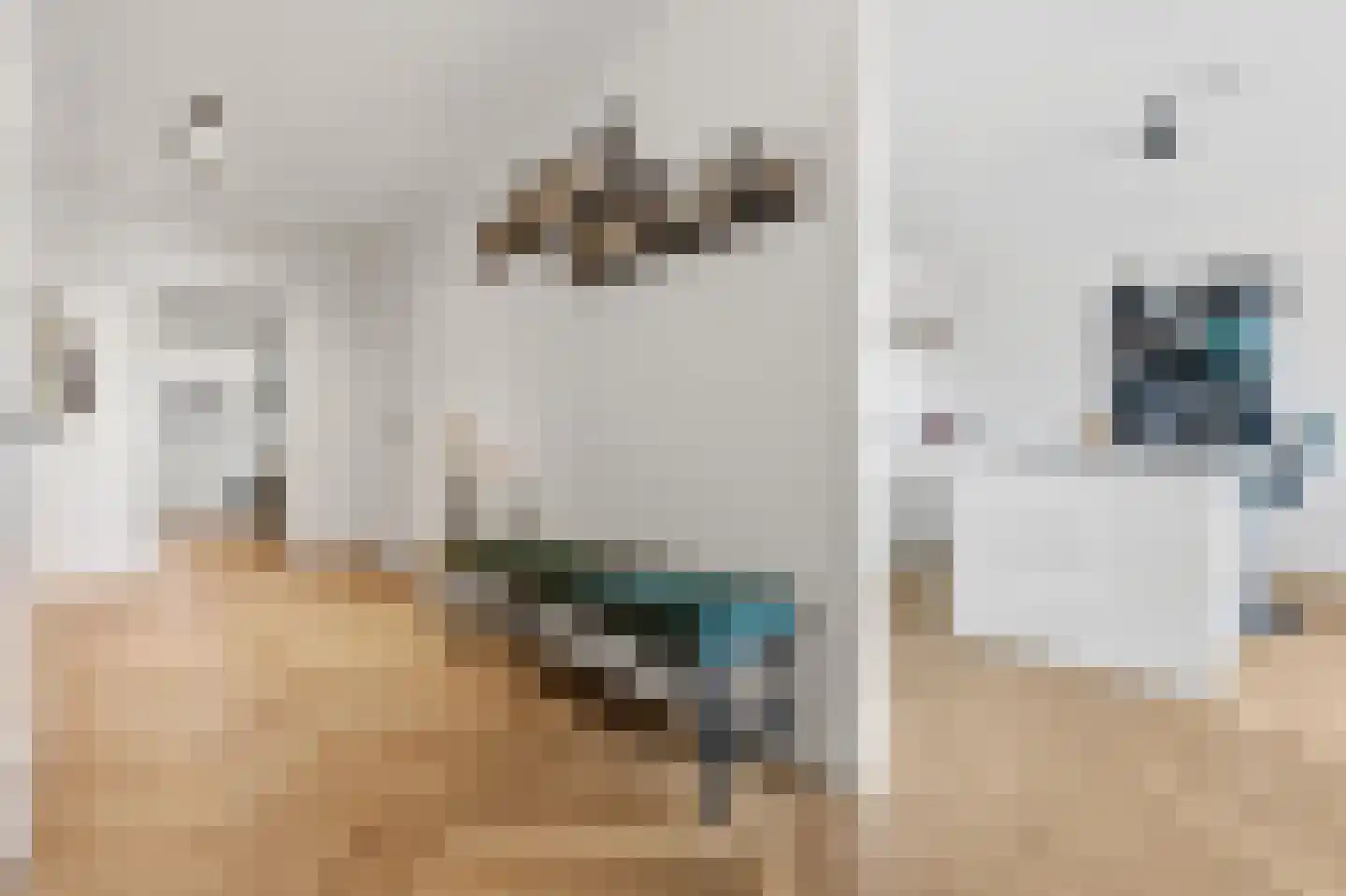 Ananasweg 32 Leiden thumbnail 9