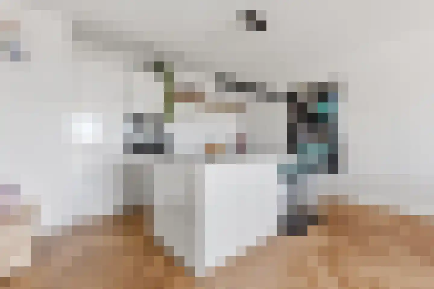 Ananasweg 32 Leiden thumbnail 9
