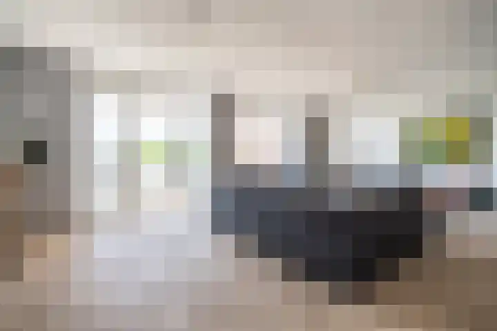 Ananasweg 46 Leiden thumbnail 31
