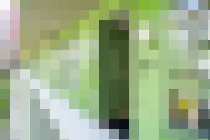 Ananasweg 46 Leiden thumbnail 37