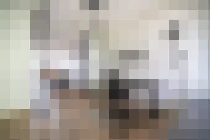 Ananasweg 46 Leiden thumbnail 5