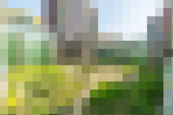 Ananasweg 46 Leiden thumbnail 53