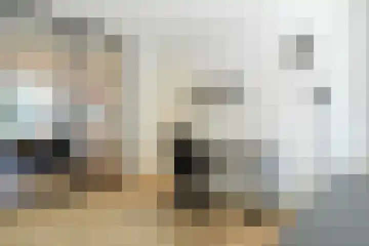 Ananasweg 46 Leiden thumbnail 6