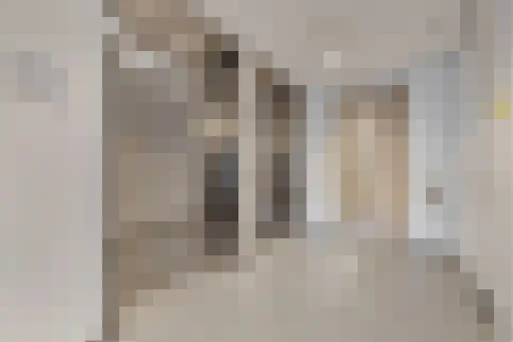 Ananasweg 54 Leiden thumbnail 6
