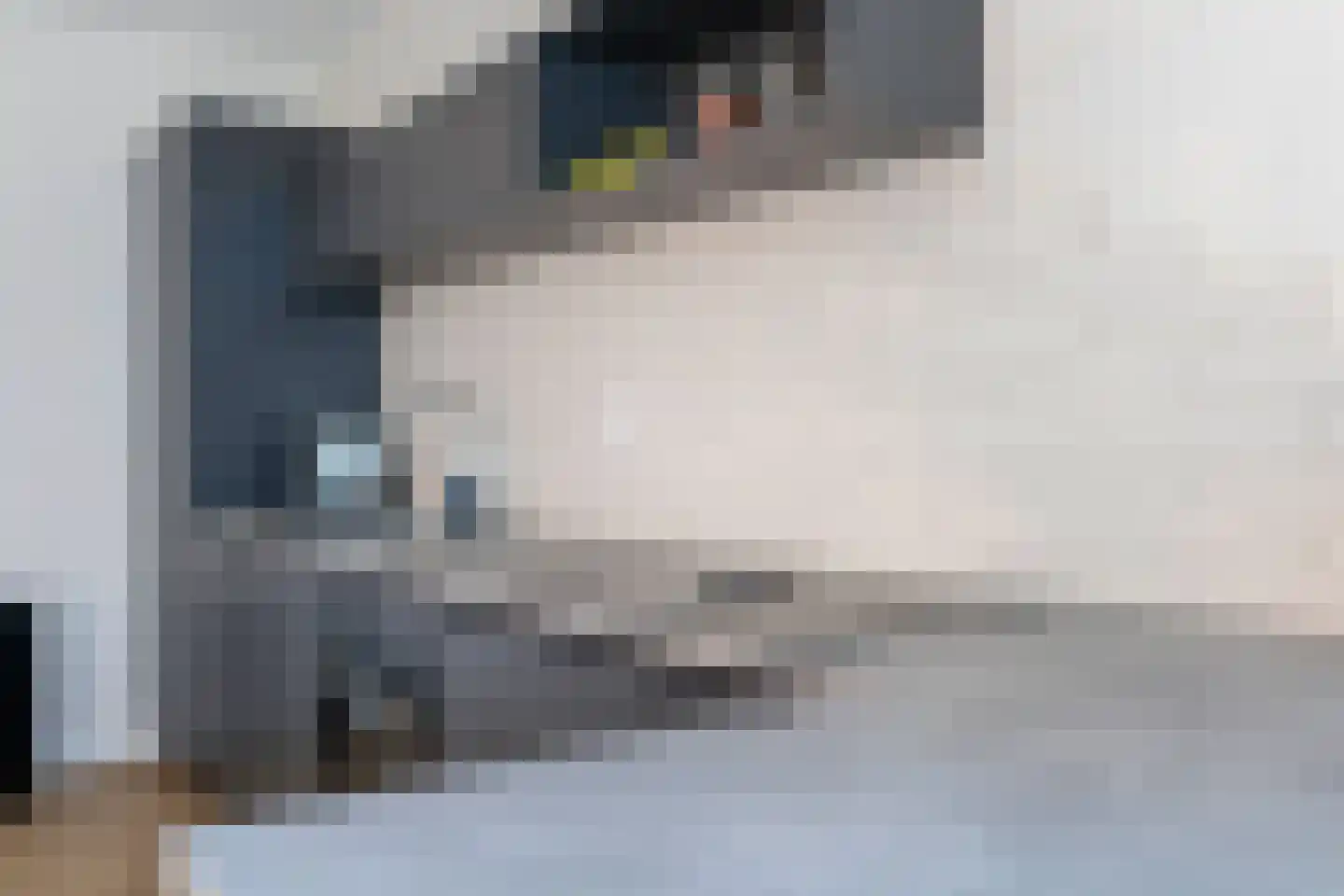 Ananasweg 68 Leiden thumbnail 10