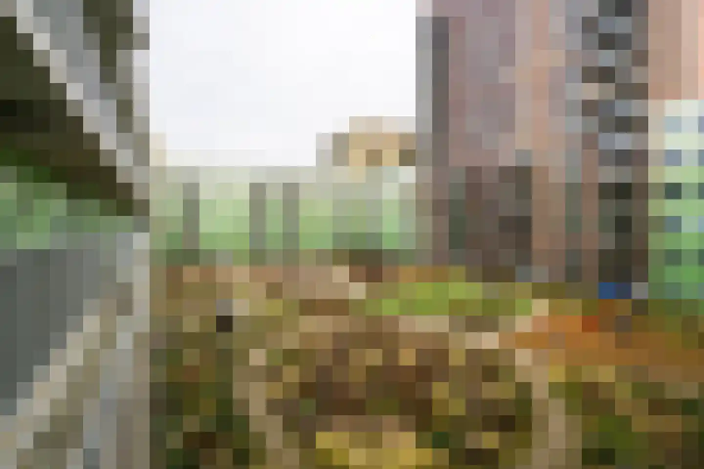 Ananasweg 68 Leiden thumbnail 28