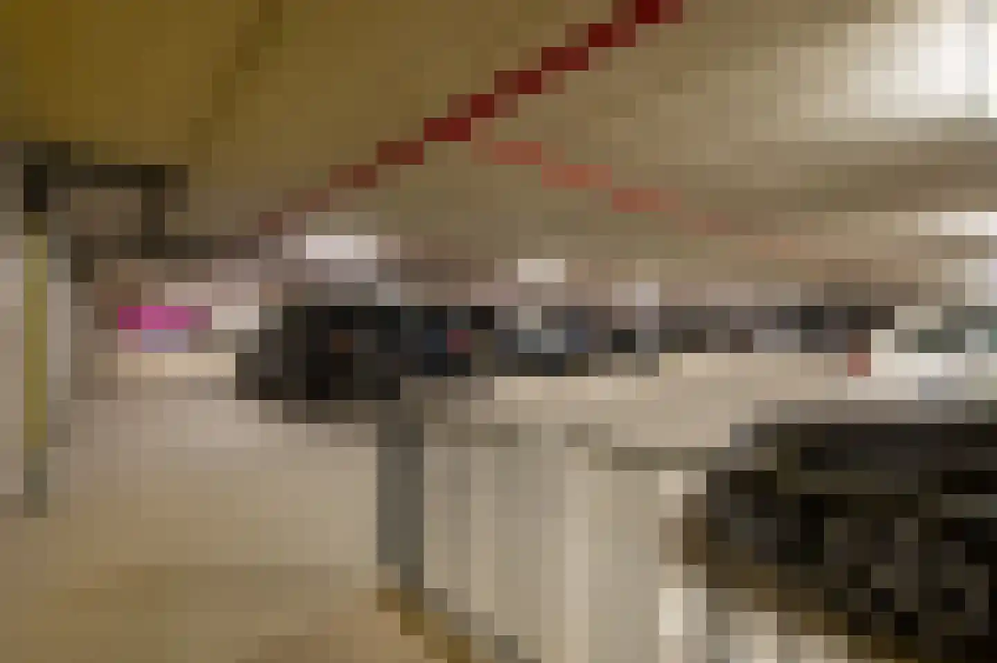 Ananasweg 68 Leiden thumbnail 33