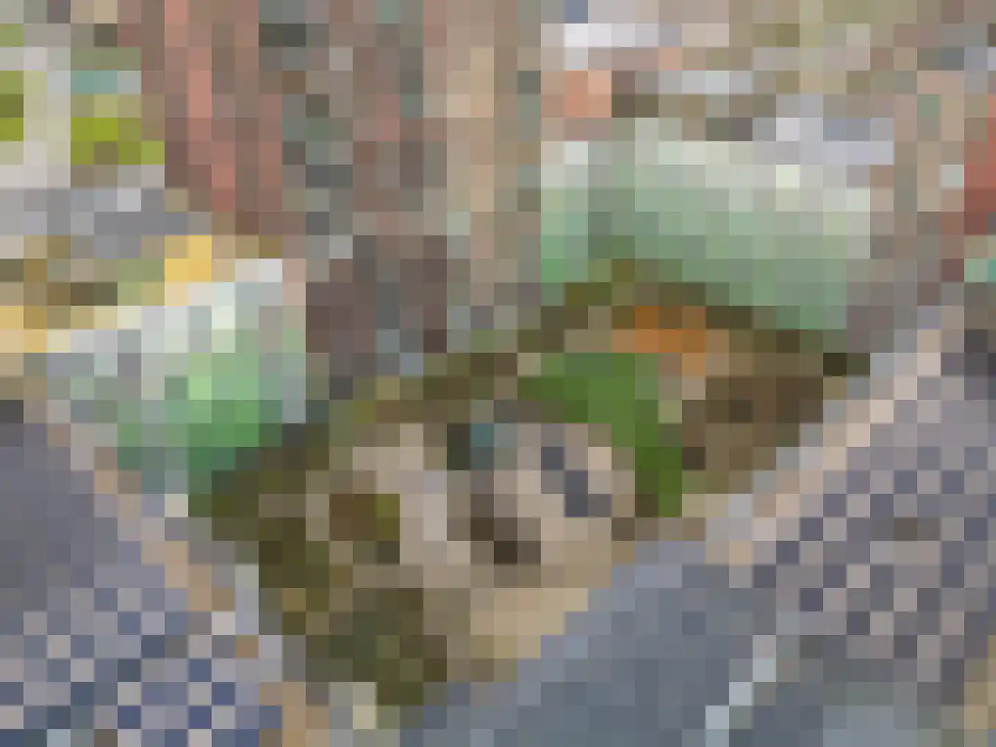 Ananasweg 68 Leiden thumbnail 37