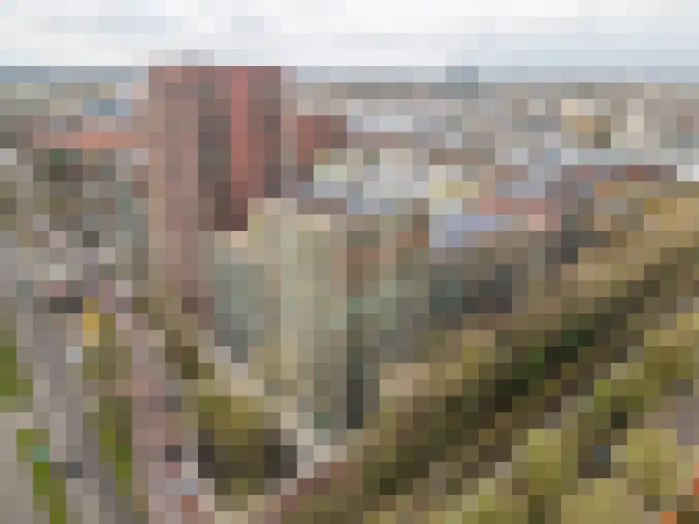 Ananasweg 68 Leiden thumbnail 38