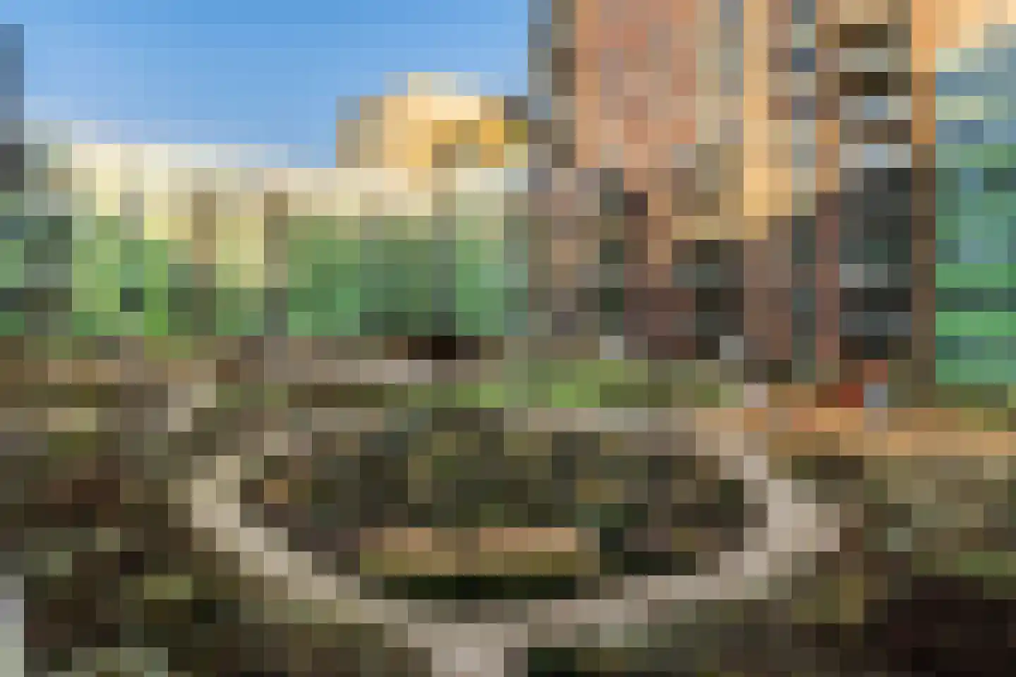 Ananasweg 70 Leiden thumbnail 50
