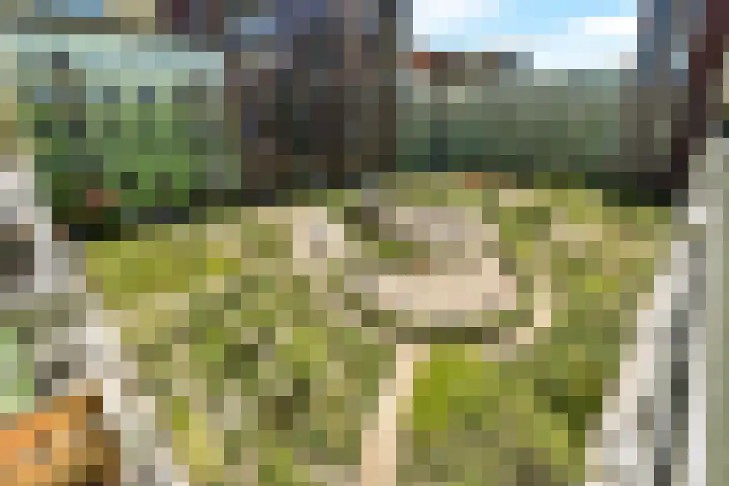 Ananasweg 82 Leiden thumbnail 17