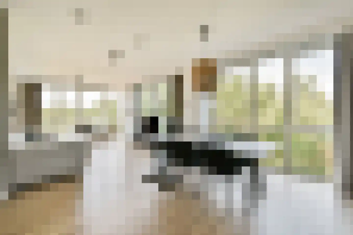 Ananasweg 82 Leiden thumbnail 4