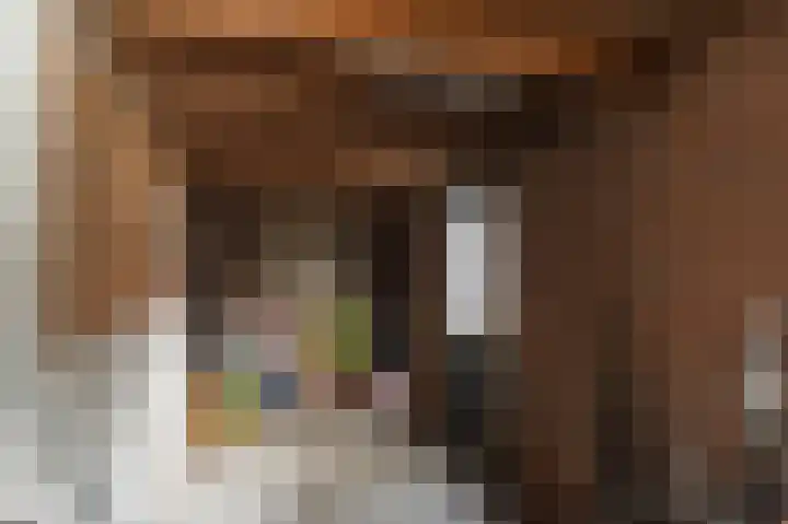 Anastatiusweg 25 Stroe thumbnail 39