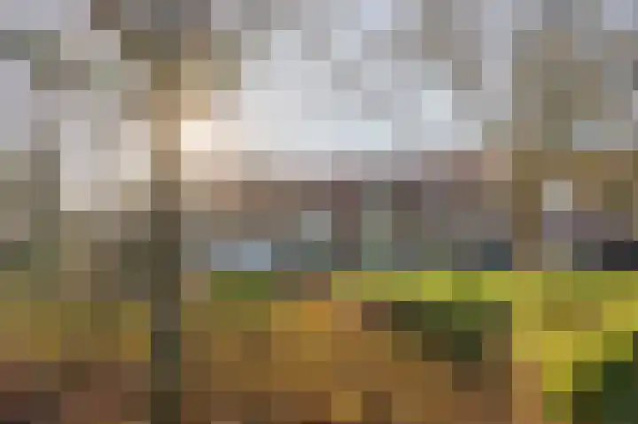 Anastatiusweg 25 Stroe thumbnail 44