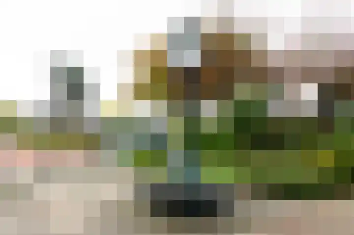 Anastatiusweg 25 Stroe thumbnail 49