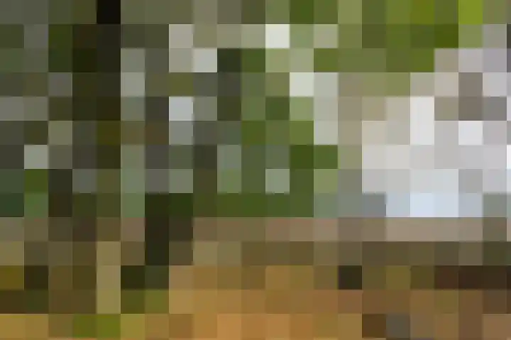 Anastatiusweg 25 Stroe thumbnail 56
