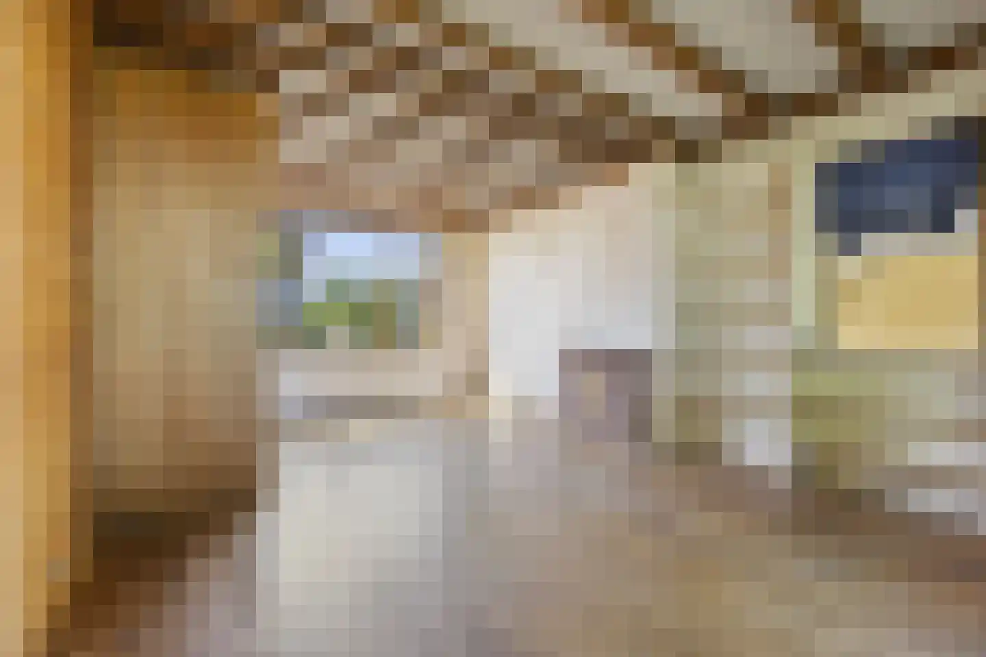 Anastatiusweg 35 Stroe thumbnail 11