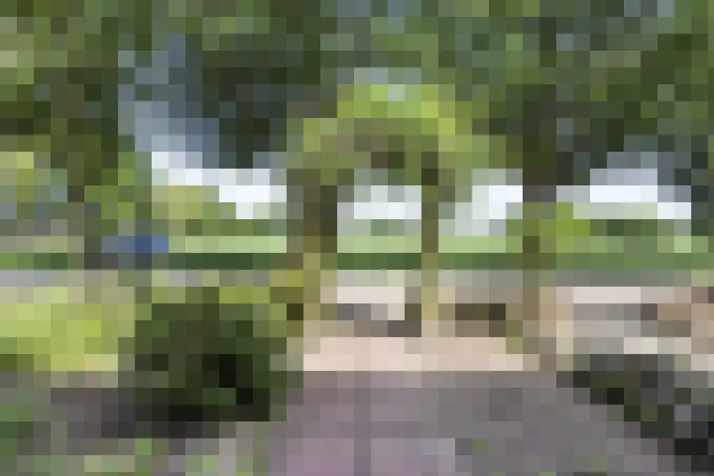 Anastatiusweg 35 Stroe thumbnail 5