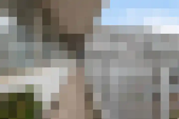 Anatole Franceplaats 392 Rotterdam thumbnail 7