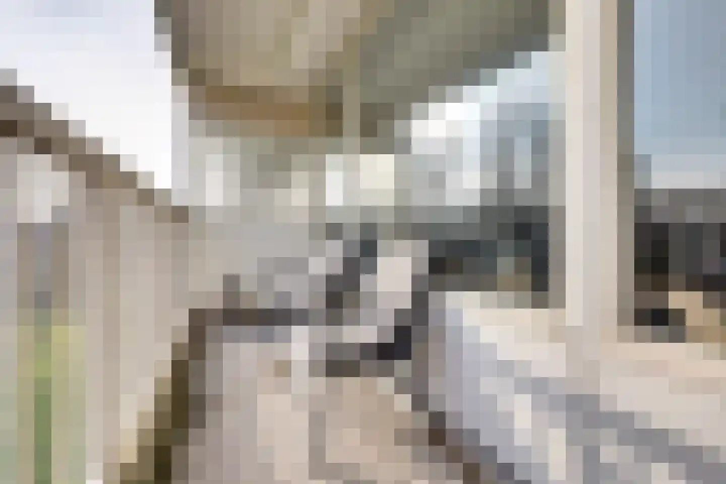 Anatole Franceplaats 406 Rotterdam thumbnail 11