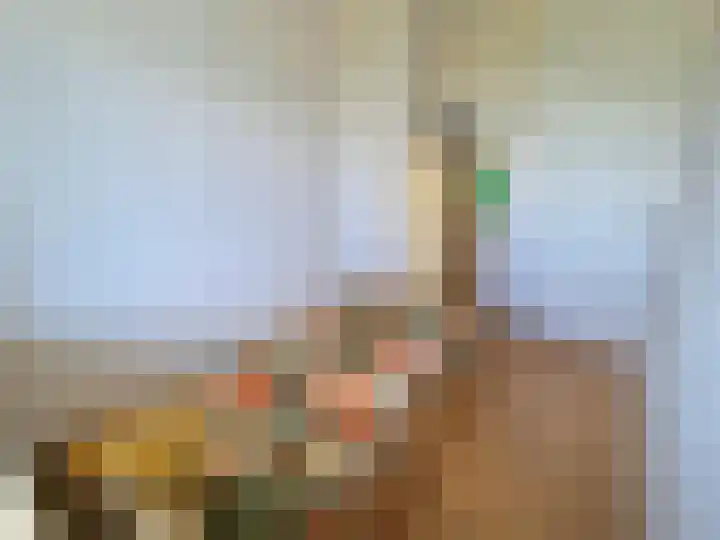 Anatole Franceplaats 434 Rotterdam thumbnail 16