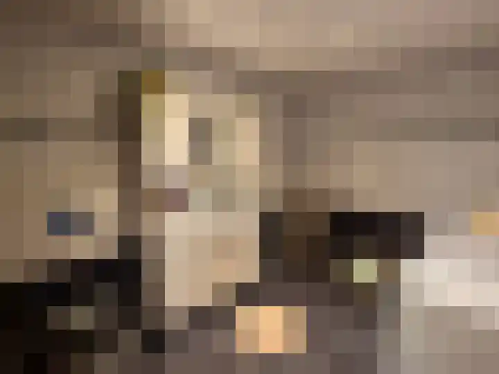 Anatole Franceplaats 434 Rotterdam thumbnail 17