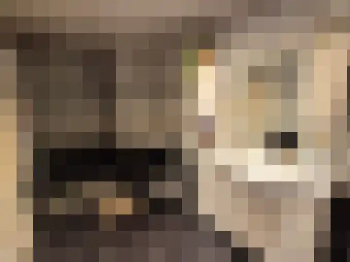 Anatole Franceplaats 434 Rotterdam thumbnail 18