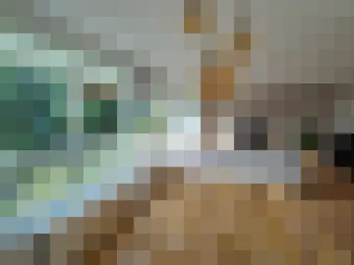 Anatole Franceplaats 434 Rotterdam thumbnail 4