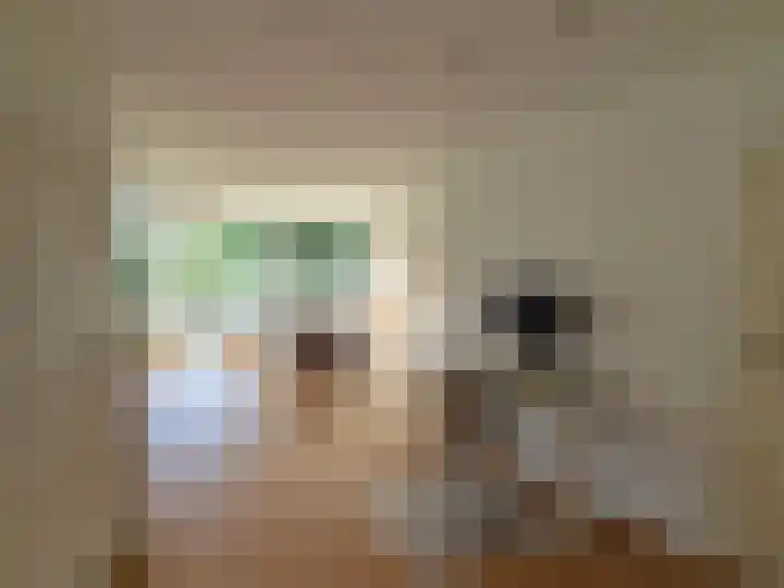 Anatole Franceplaats 434 Rotterdam thumbnail 6