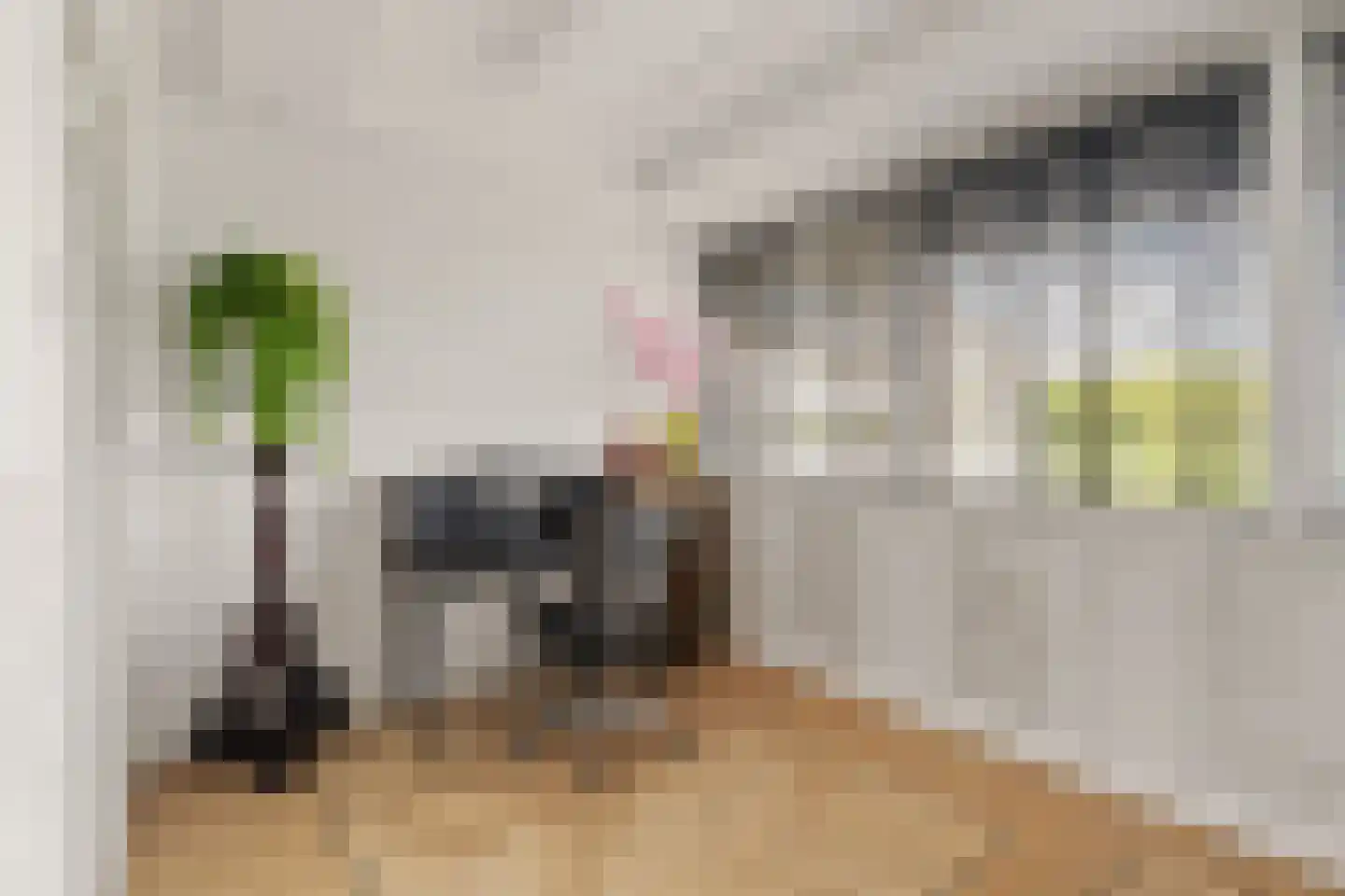 Anatole Franceplaats 444 Rotterdam thumbnail 15