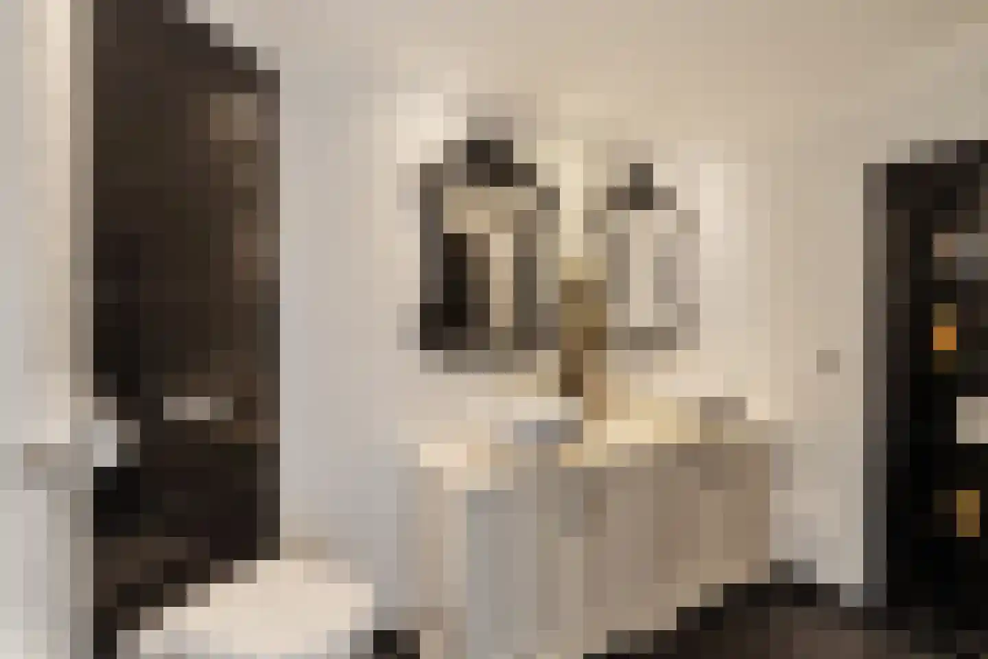 Anatole Franceplaats 444 Rotterdam thumbnail 19