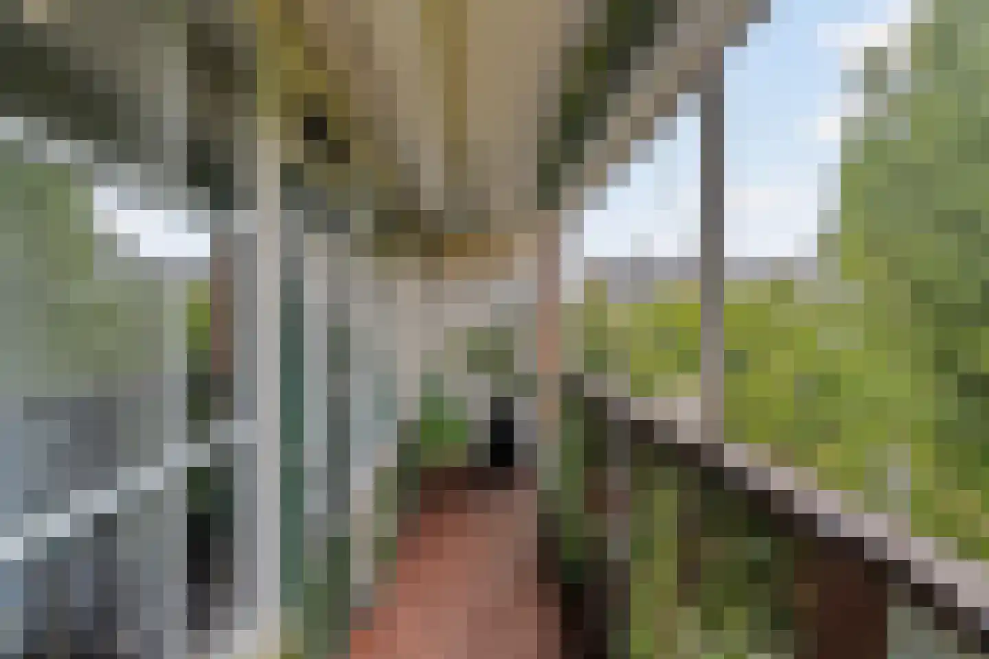 Anatole Franceplaats 444 Rotterdam thumbnail 22