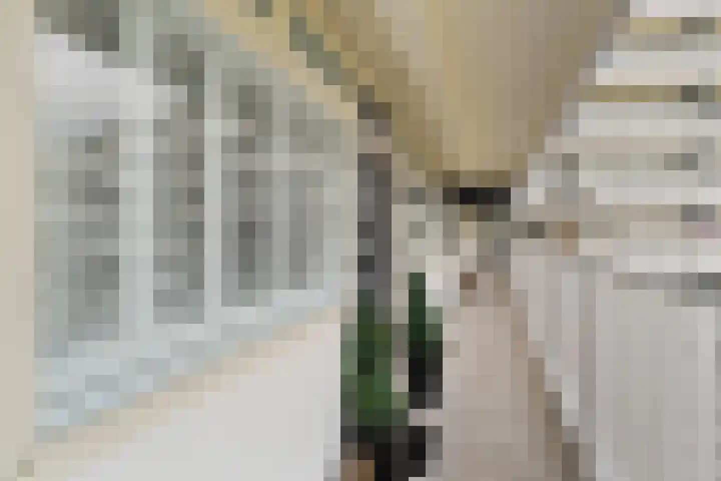 Anatole Franceplaats 444 Rotterdam thumbnail 28
