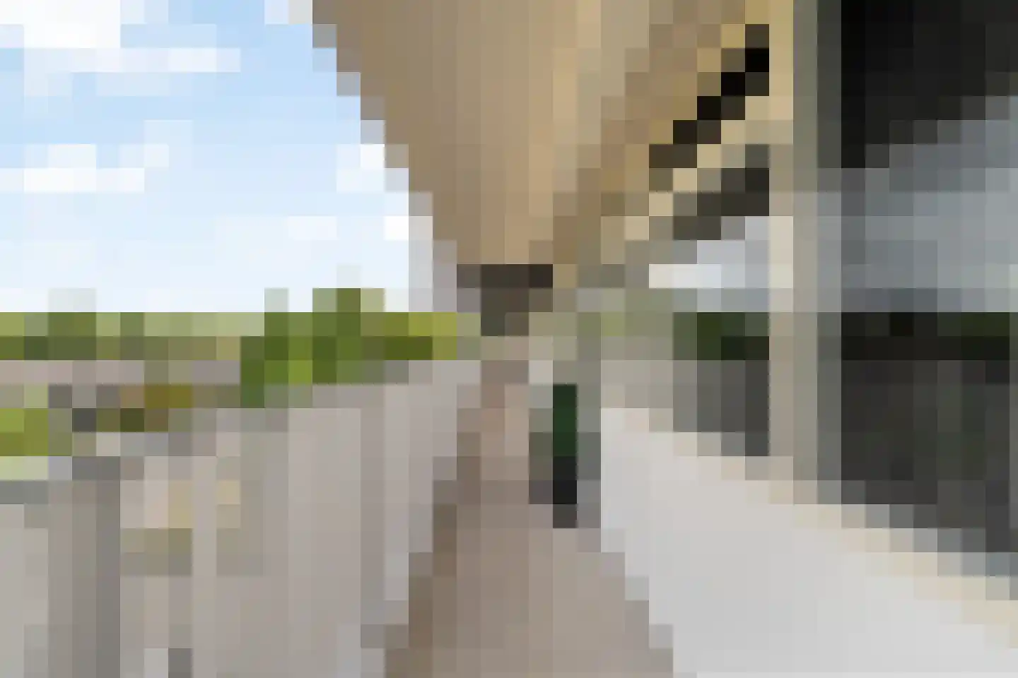 Anatole Franceplaats 444 Rotterdam thumbnail 29