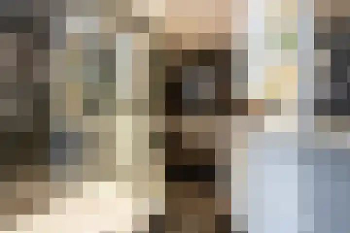 Anatole Franceplaats 448 Rotterdam thumbnail 11