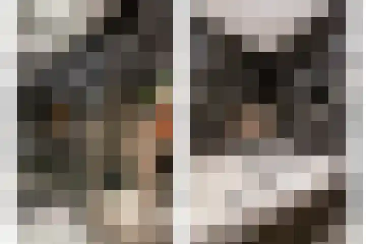 Anatole Franceplaats 448 Rotterdam thumbnail 12