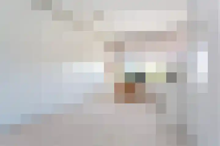 Anatole Franceplaats 448 Rotterdam thumbnail 9