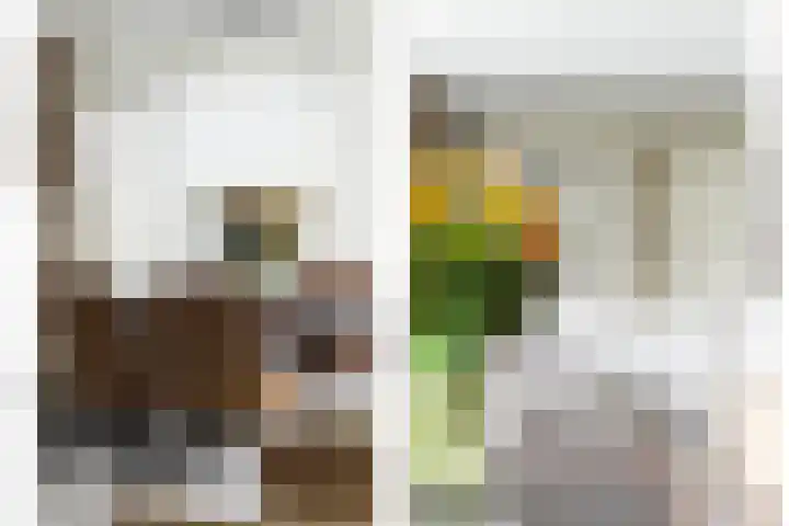 Anatole Franceplaats 462 Rotterdam thumbnail 11